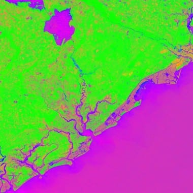 False color imagery of the South Carolina coast. Image Credit: DEVELOP