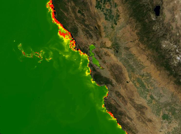 MODIS imagery of chlorophyll-a concentrations along the California Coast.