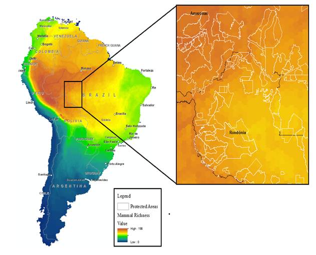 Ecological importance map including mammalian species richness and outlined protected areas in northern Rond̫nia and southern Amazonas, Brazil.
