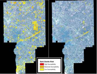 Left: Landsat 5TM CRI result within Tallapoosa County, Alabama, using two parameters - NDMI, and forest classification type to illustrate bark beetle infestation risk within Tallapoosa County without proximity to tornado path as a factor. Right: Landsat 5TM CRI result within Tallapoosa County, Alabama, using NDMI, forest classification type, and proximity to tornado paths. Red areas indicate high bark beetle susceptibility, orange areas moderate susceptibility, and yellow areas indicate low susceptibility.