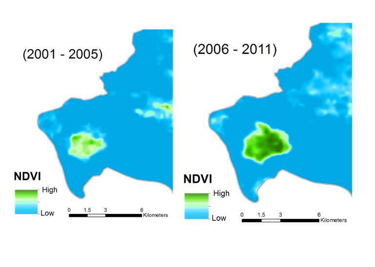 An NDVI image using MODIS Terra data of the Gishwati Forest in the Western Province of Rwanda. This image depicts the mean vegetation index across the dry seasons from 2001-2011.