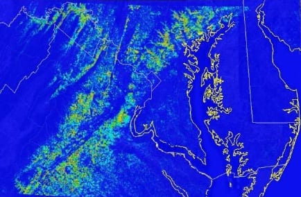Cropped image from the INVASIVE SPECIES FORECASTING Analysis of regional climate change predictions and the potential implications for the sustainability of forest resources at Goddard Space Flight Center project