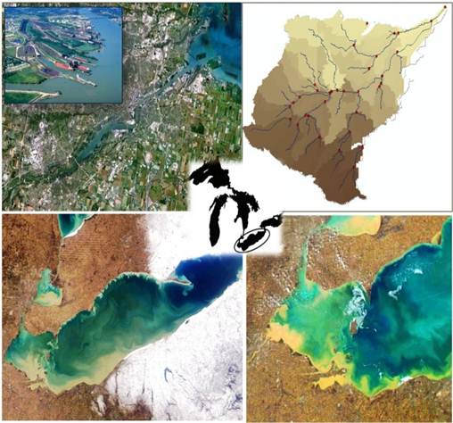 Upper left, Google Map of Toledo area and Port of Toledo docks, Maumee Bay. Upper right, ArcGIS analysis of Maumee watershed displaying catchment areas and drainage lines. Lower Left, MODIS True Color image of Lake Erie in 2005 showing sediment plume. Lower right, Satellite photo captures the sediment plume from the March 8-13 rain storms that occurred over the Maumee Basin. Center, Image displaying Great Lakes with Lake Erie highlighted by a circle.