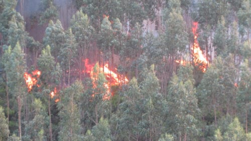 Photo of a forest fire in Portugal. Credit: Flickr/Brian Johnson & Dane Kantner