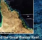 Image from the Great Barrier Reef Poster/ Credit: St/ George's SChool