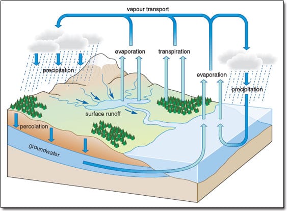 Figure showing the hydrologic cycle. Image Credit: Mount Orange School.