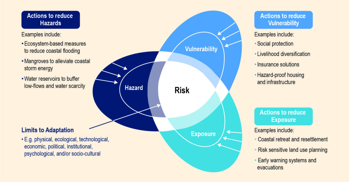 Figure 6: Options for risk reduction through adaptation. Taken from Fig. TS4 of the Technical summary [3].