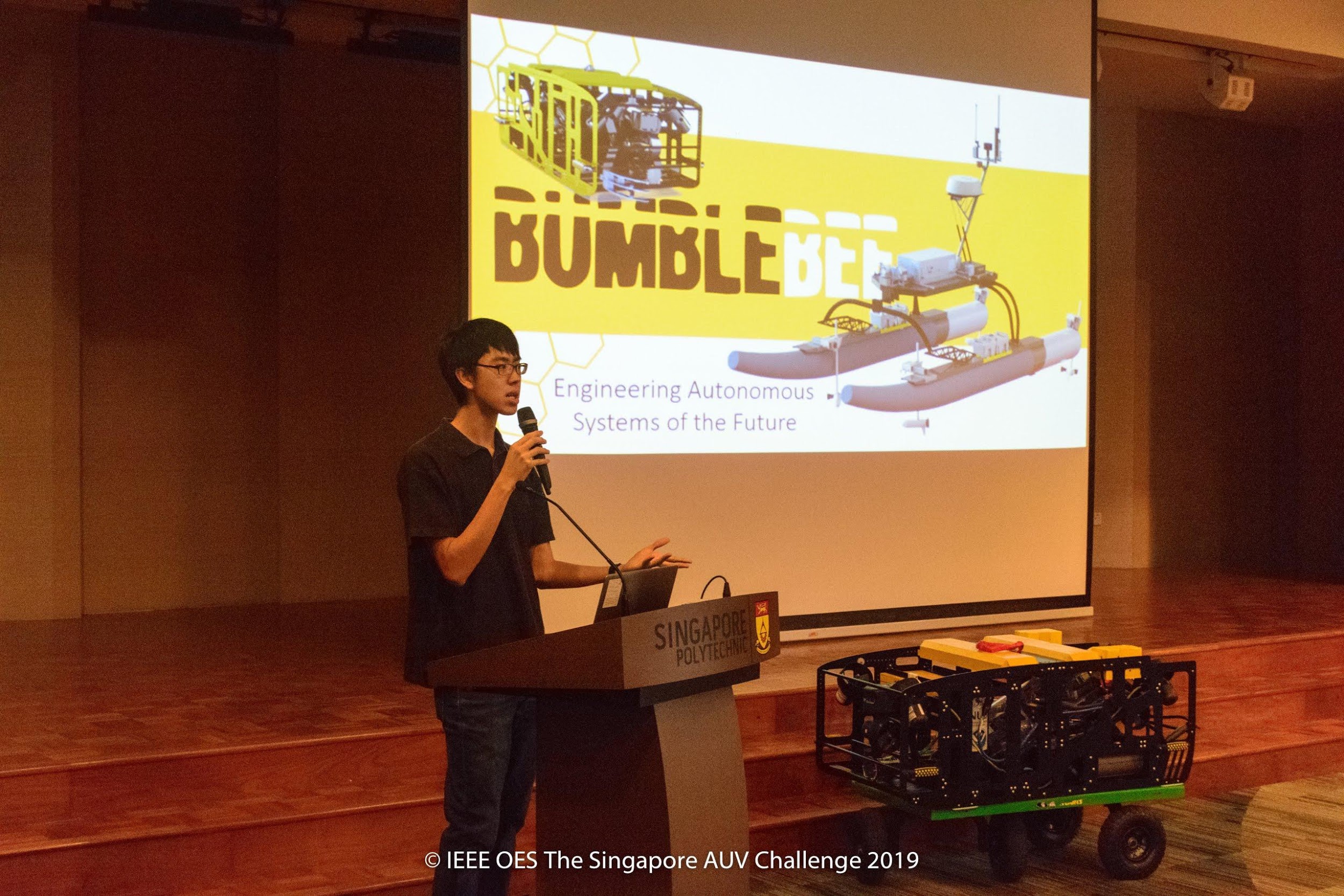Ren Jie (NUS) presents Bumblebee’s story