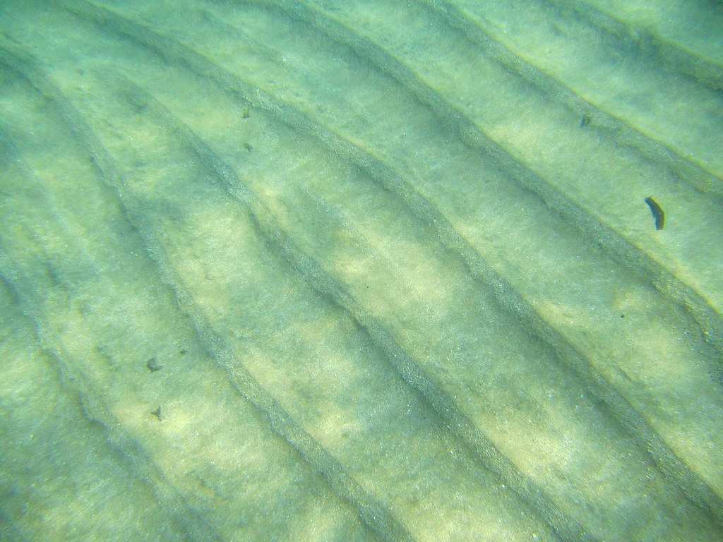 Seabed patches such as these impact sound propagation by reflection, refraction and scattering and absorption.