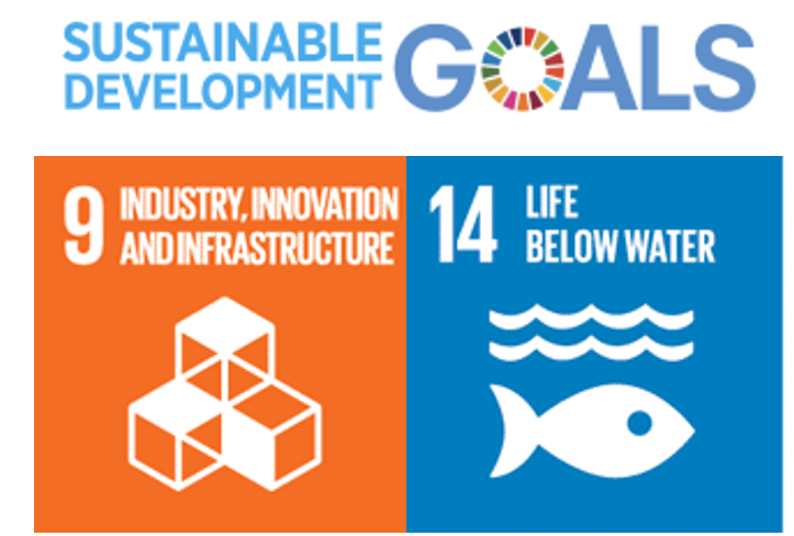 Figure 1: Standards contribute to the development of the UN Sustainable Development Goals, in this case 9 and 14.