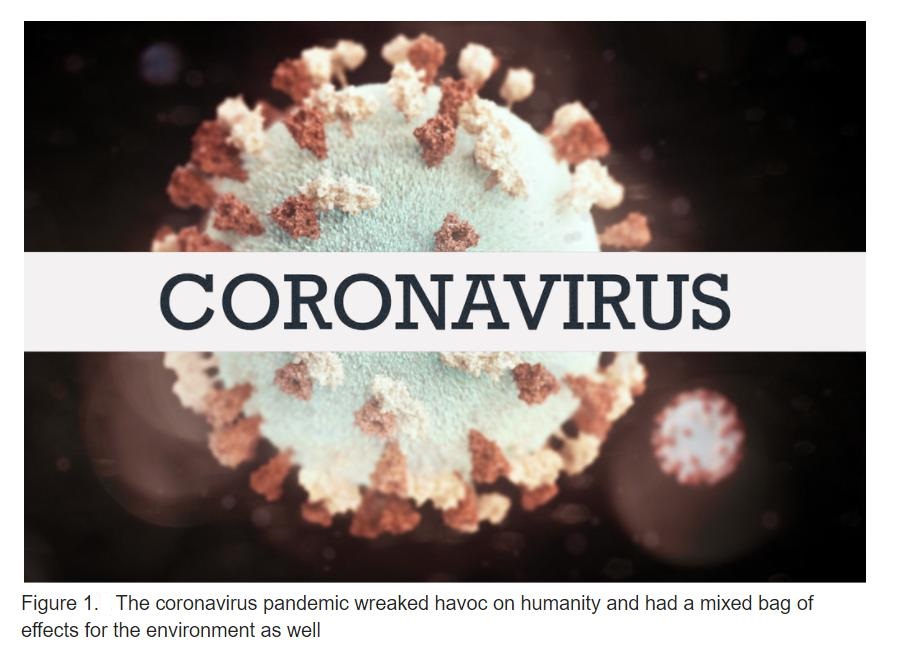 The coronavirus pandemic wreaked havoc on humanity and had a mixed bag of effects for the environment as well.