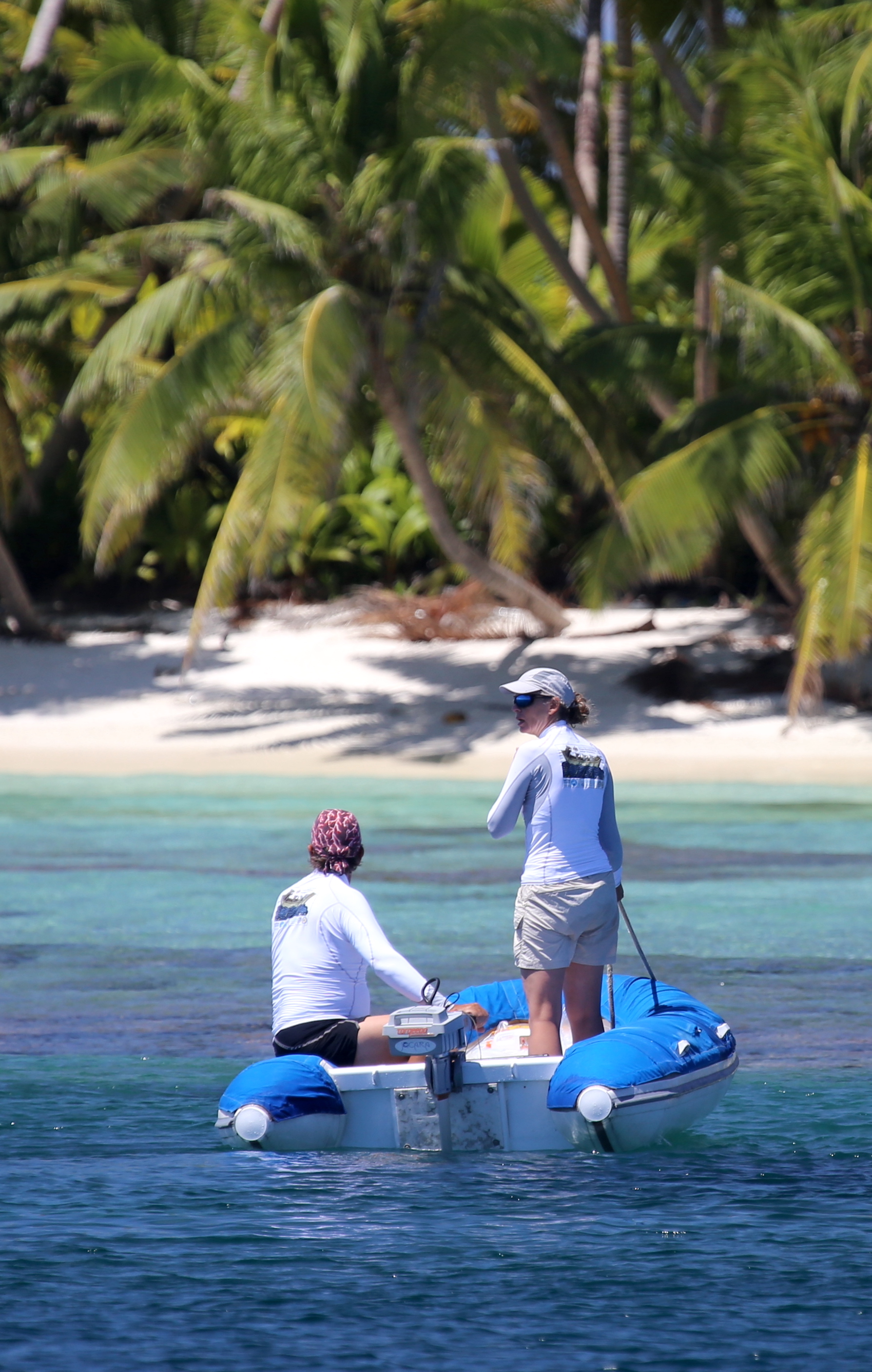 Searching in paradise for the right spot to sample marine eDNA
