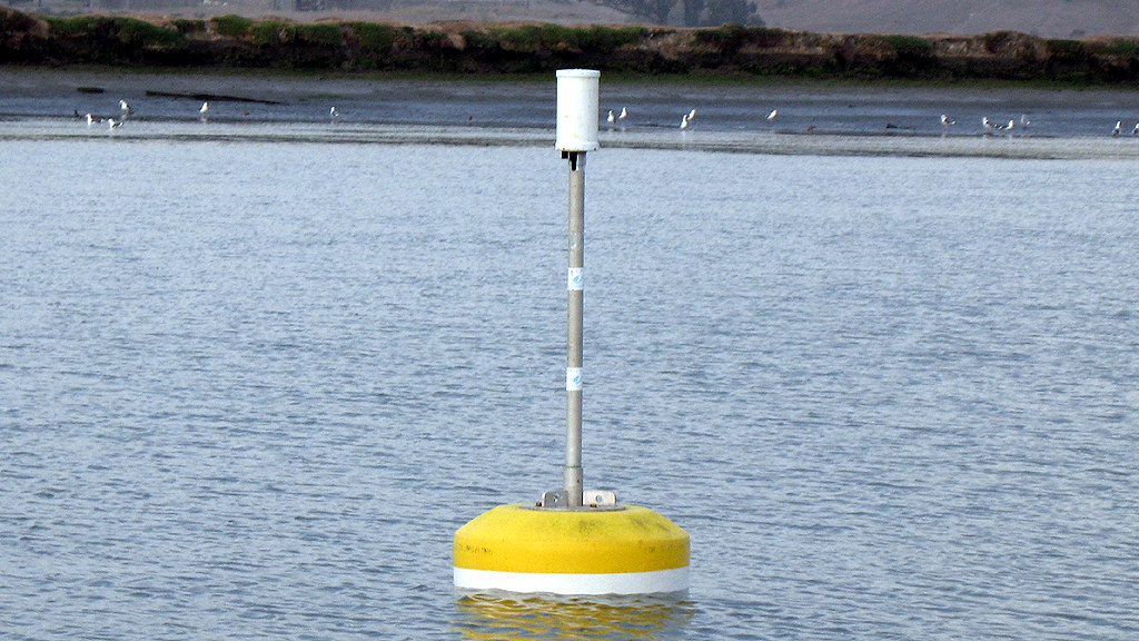 A buoy by the Land/Ocean Biogeochemical Observatory (LOBO) that is able to capture information about marine environments such as pH, temperature, and dissolved oxygen.[4] 
