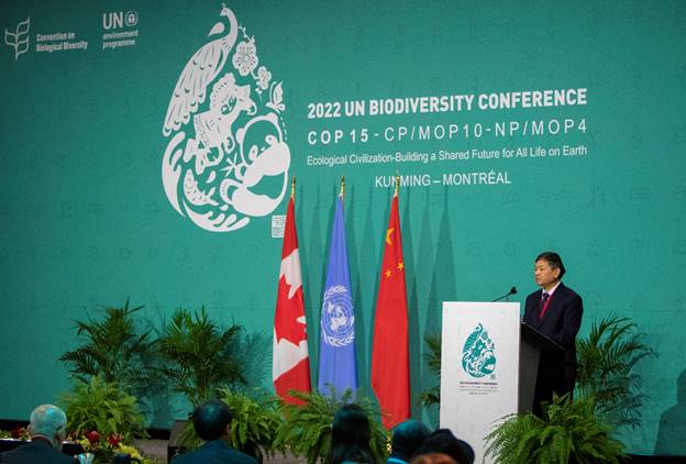 The High-Level Segment of COP15